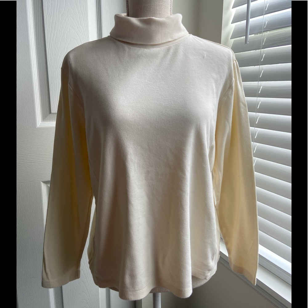Westbound 100% Cotton Long Sleeve Turtle Neck Sweater (2 for $30)